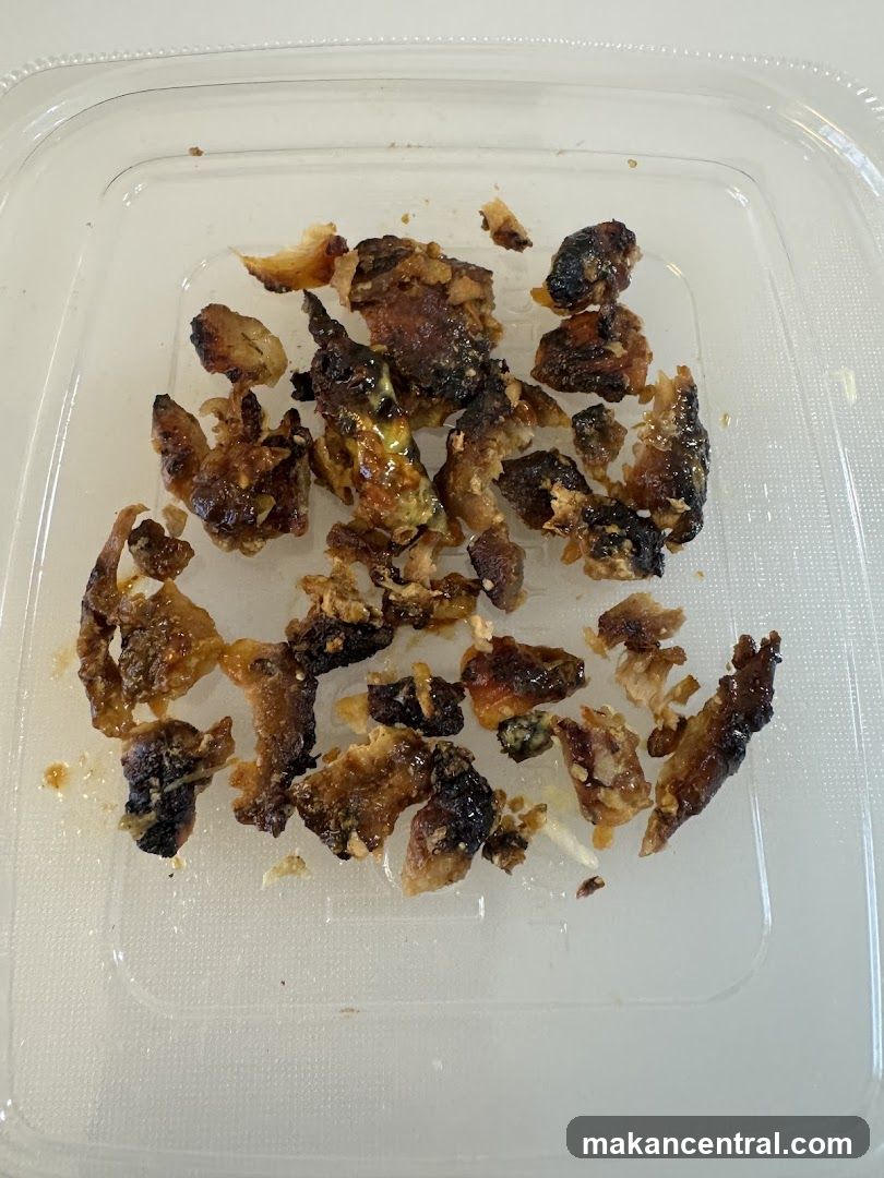 Burnt Food Scraps