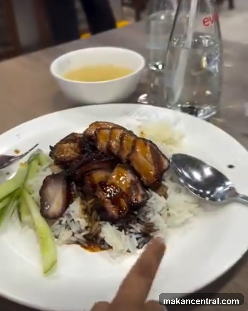 Dinner Plate with Meat and Rice