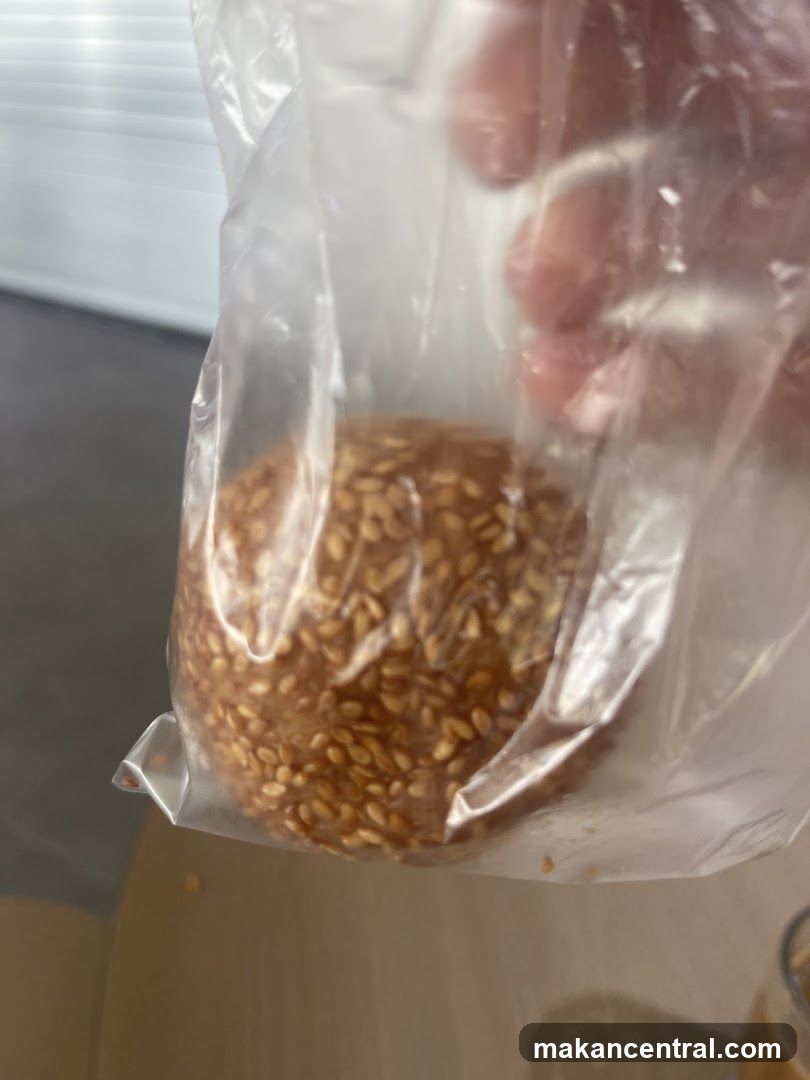 Sesame Bun in Plastic Bag
