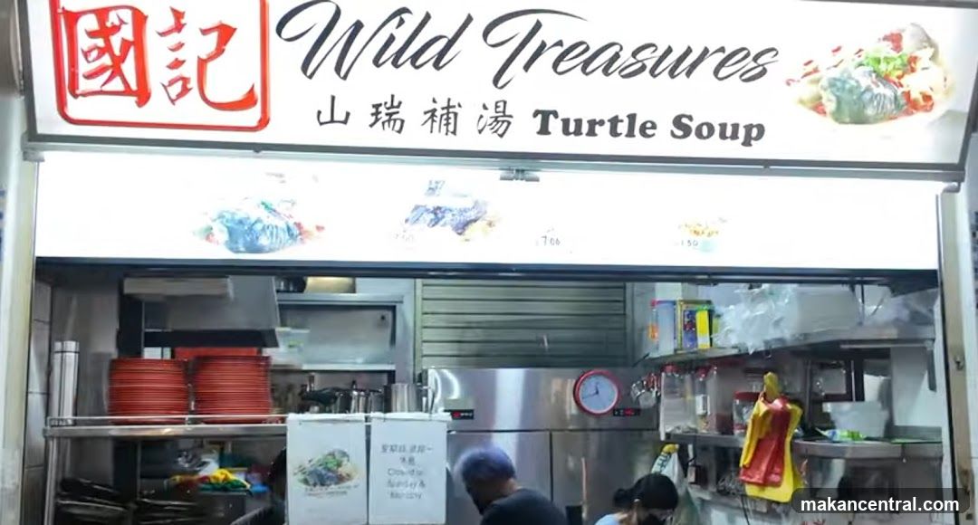 Wild Treasures Turtle Soup