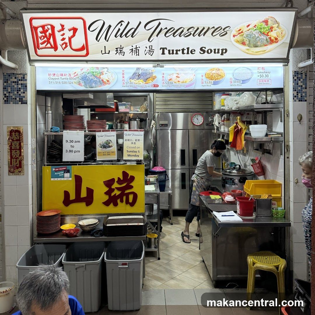 Wild Treasures Turtle Soup