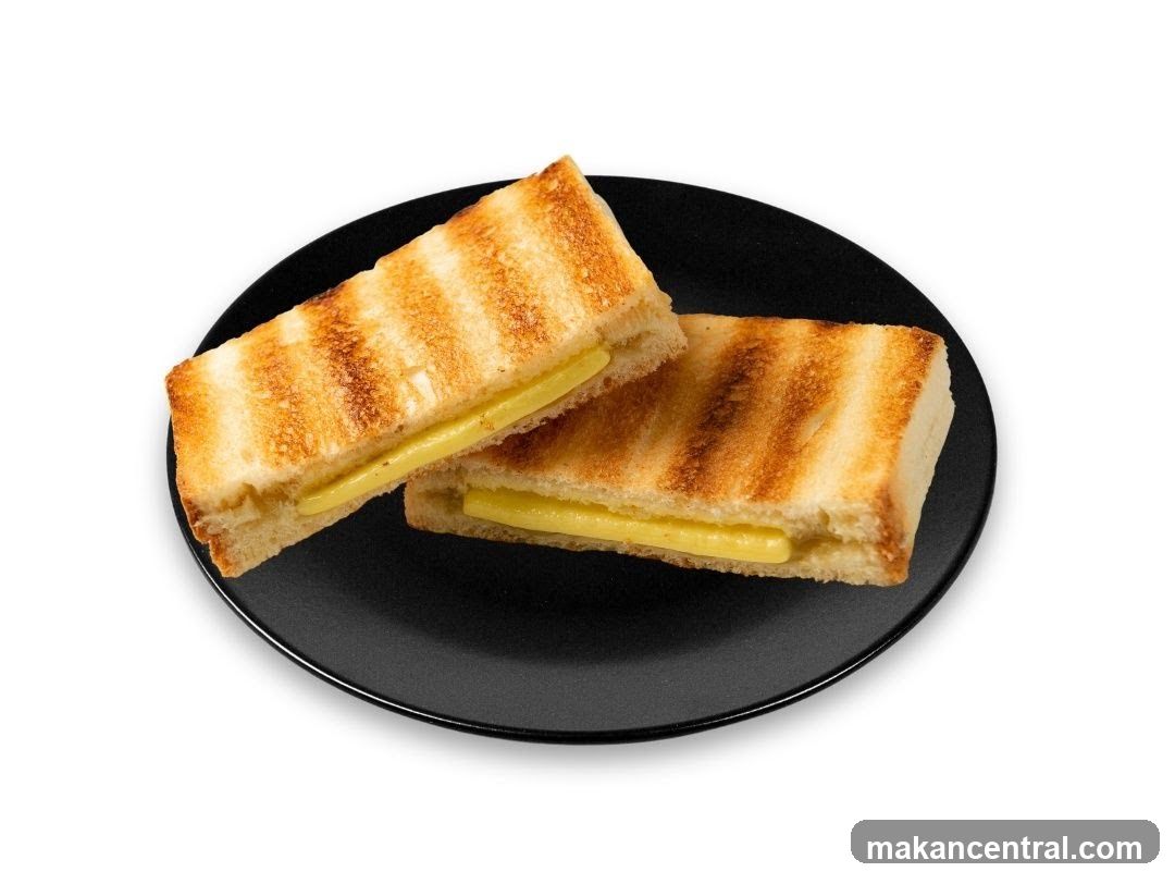 Toasted Sandwich