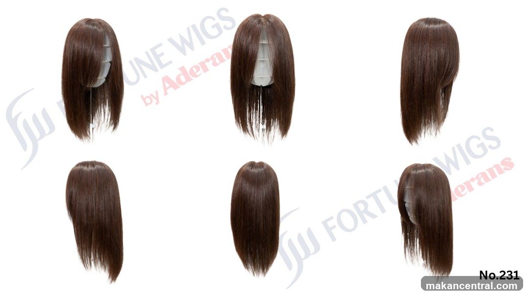 Wigs Display