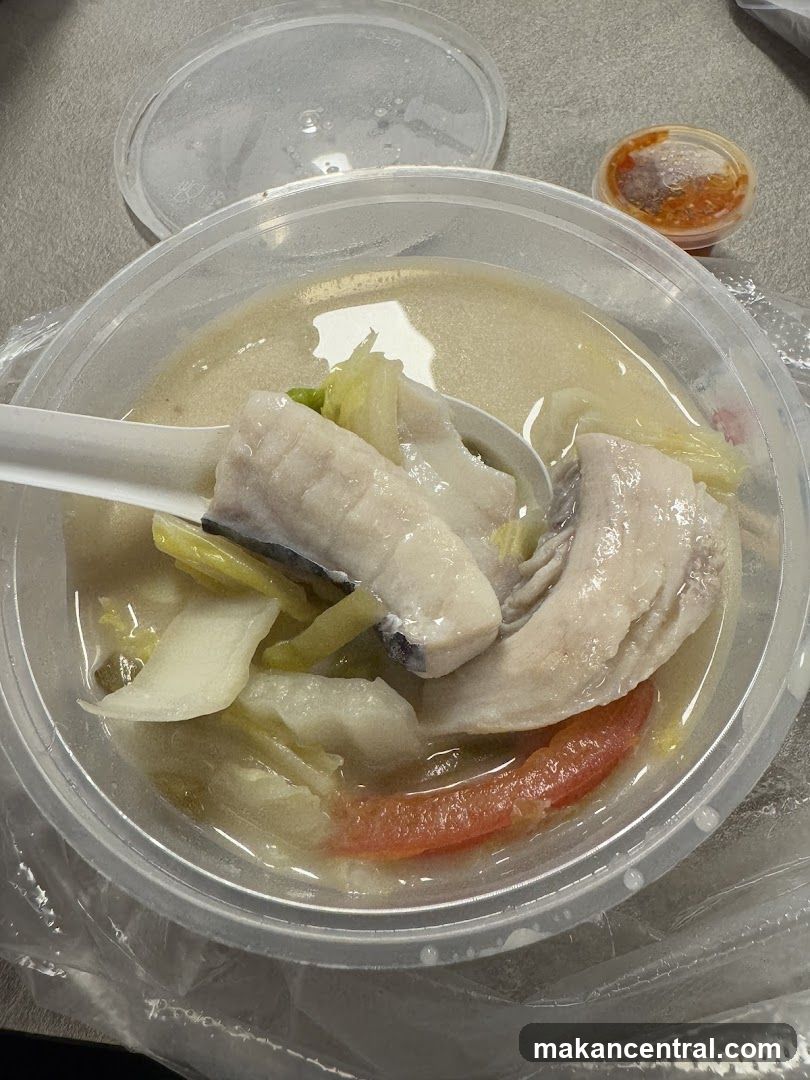 Takeaway Fish Soup