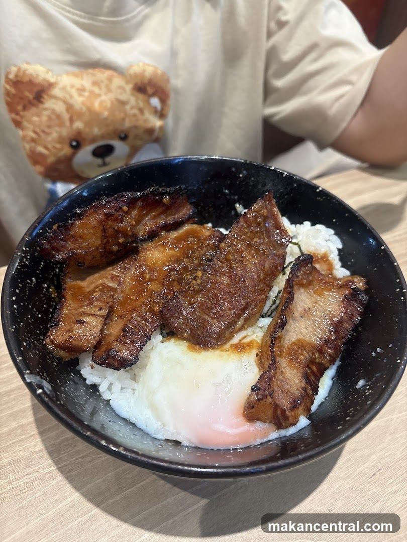 Food Bowl with Meat and Rice