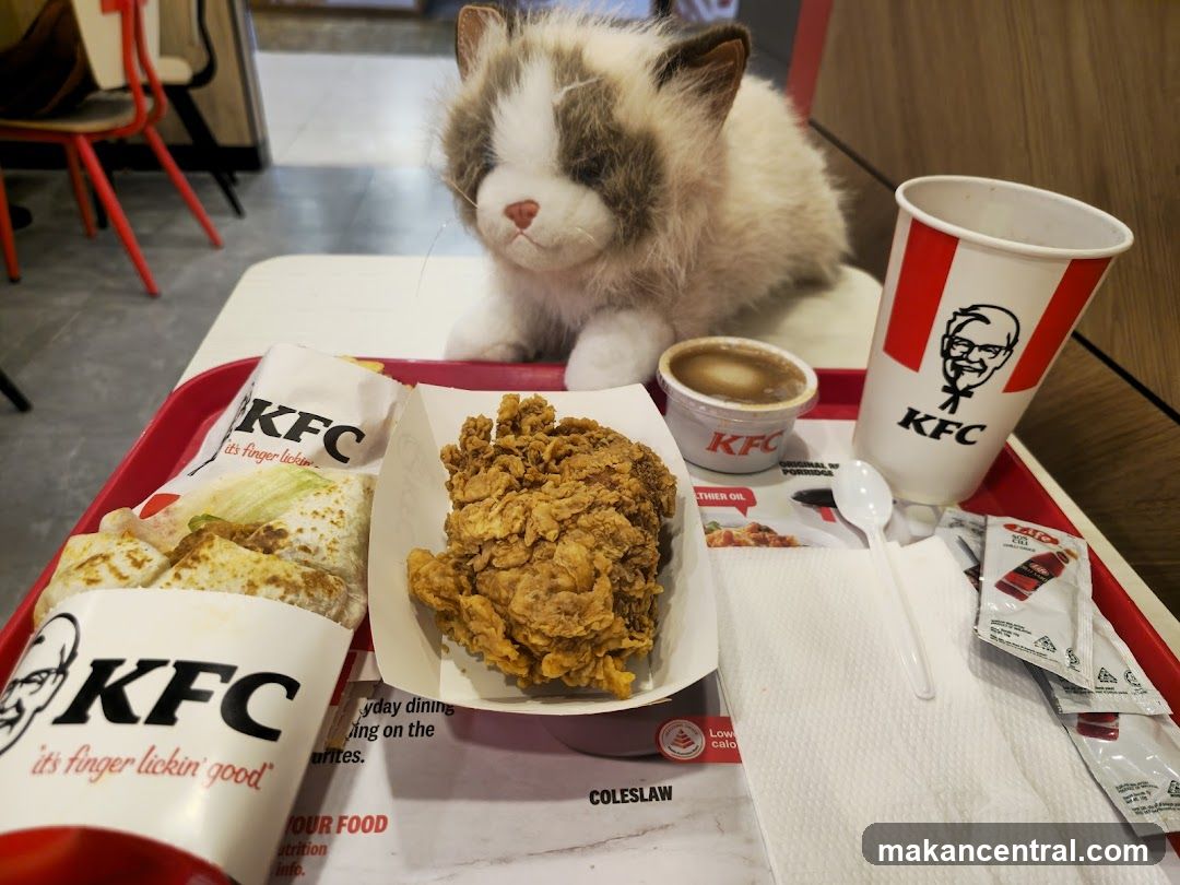 KFC Interior with Cat