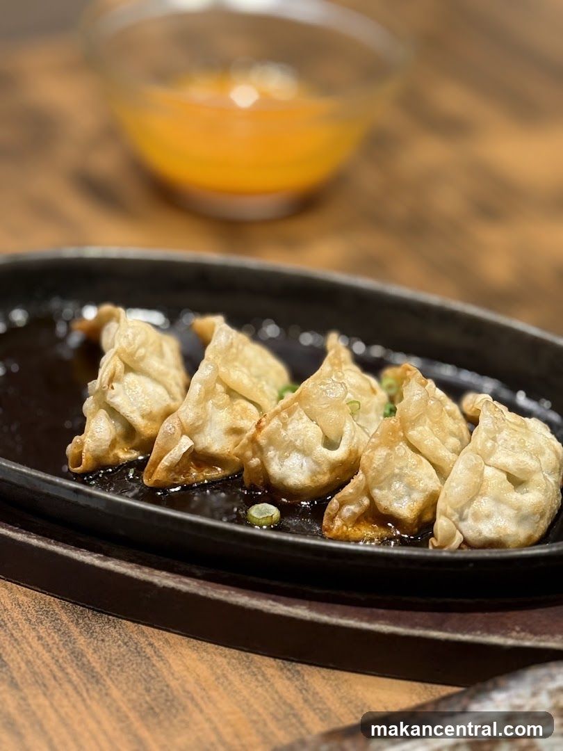 Gyoza on a Plate
