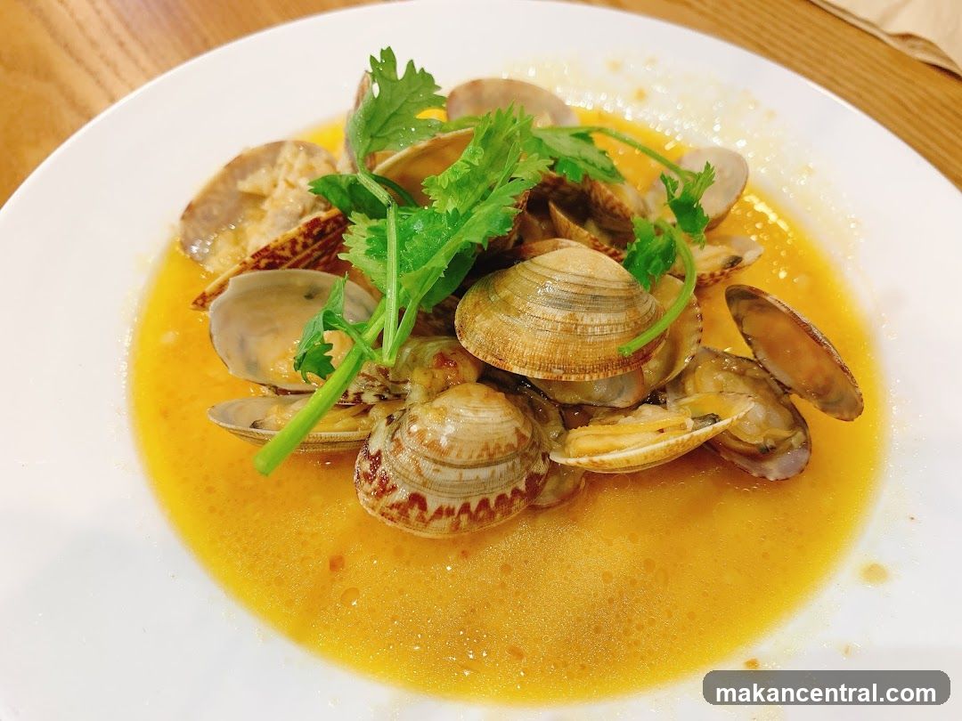 Clams in sauce with cilantro