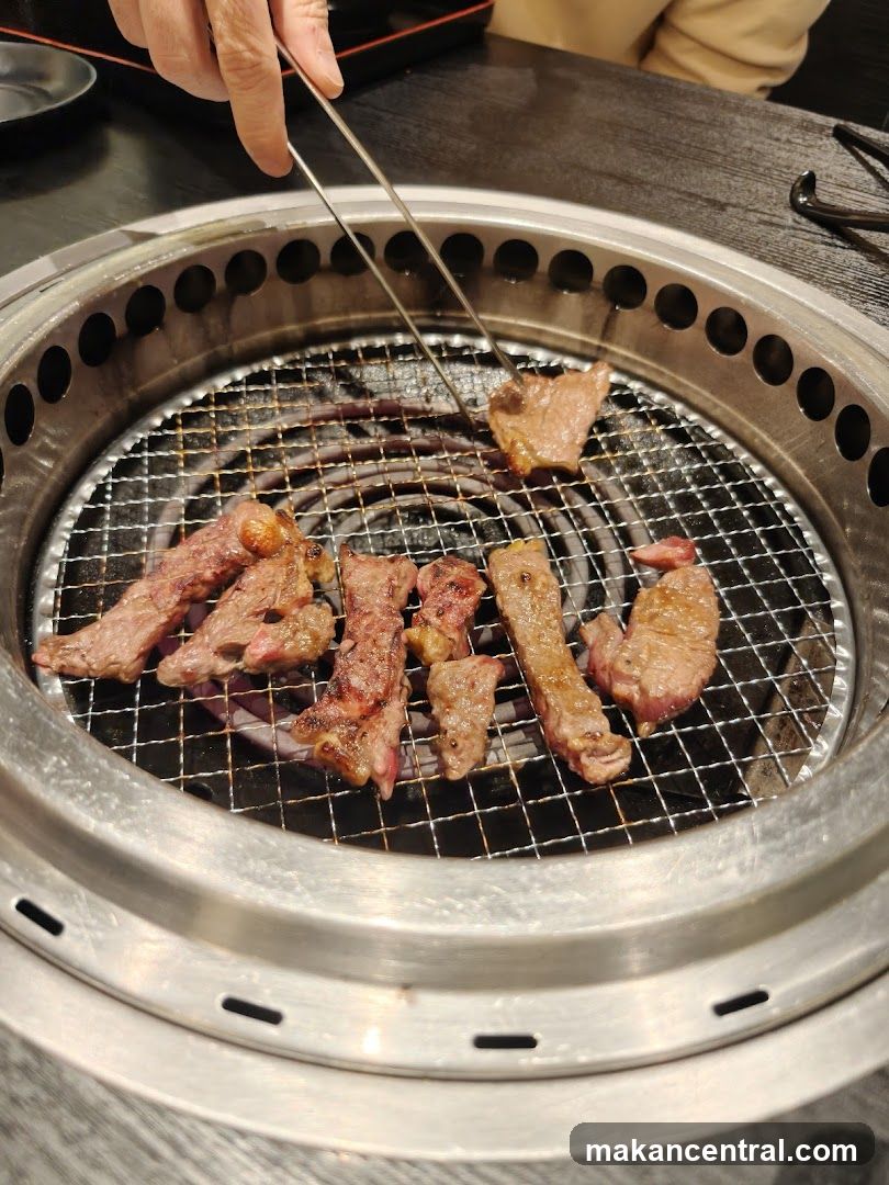 Grilled meat on barbecue grill