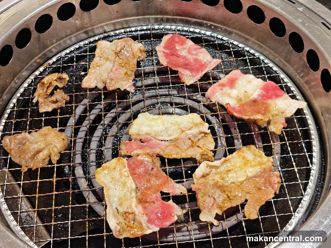 Grilled meat on barbecue grill