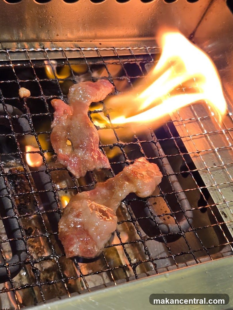 Grilled meat on fire