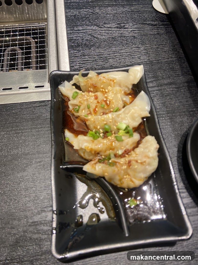Dumplings on Plate with Grill in Background