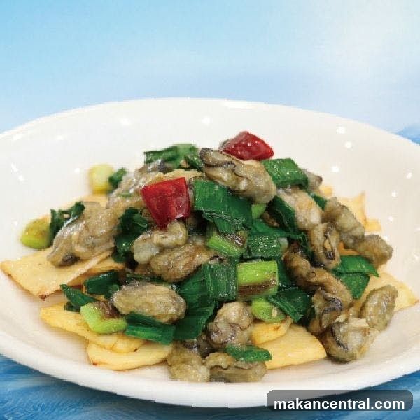 Food Dish