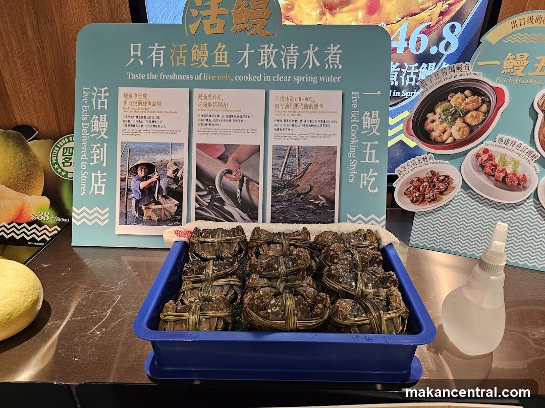 Live Eel Display at Shop Front