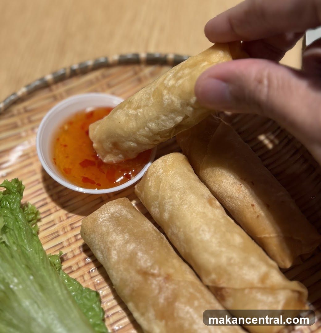 Spring Rolls with Dip
