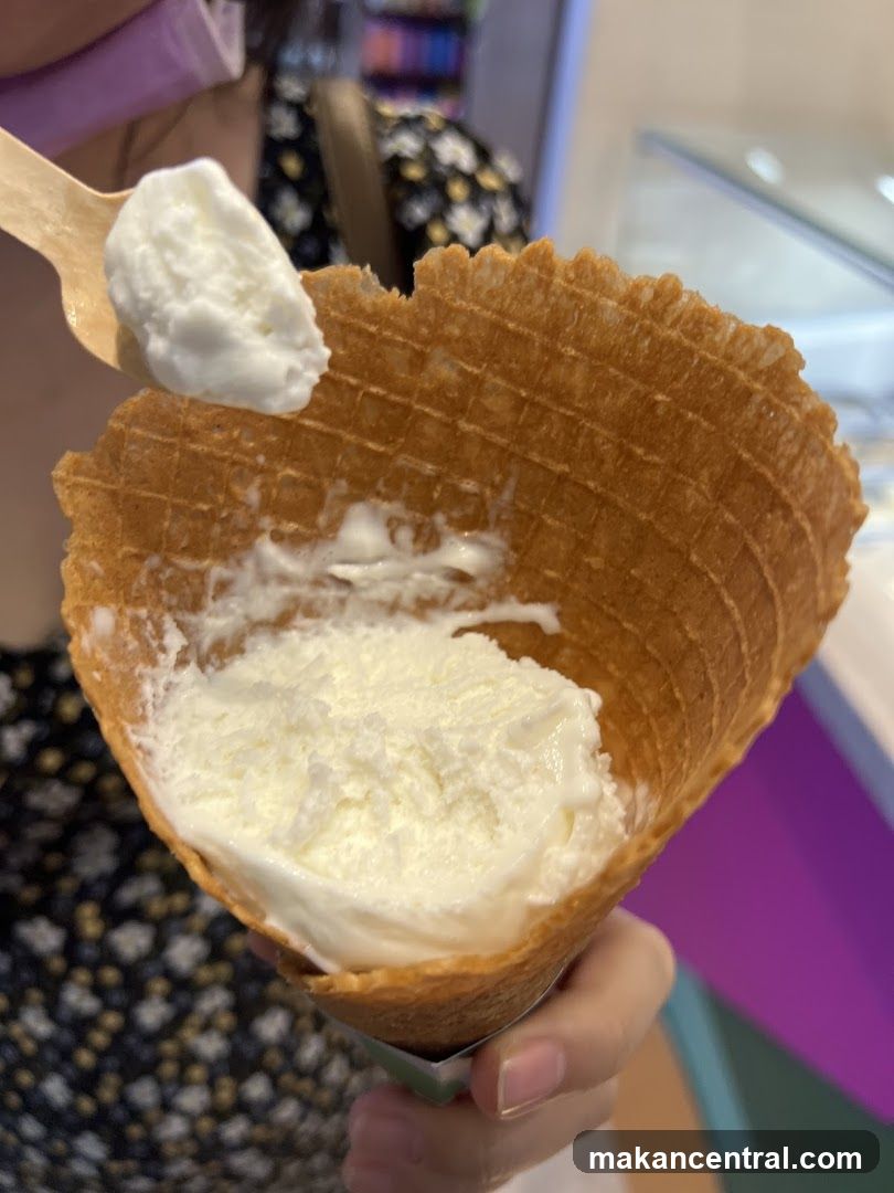 Ice Cream in Waffle Cone