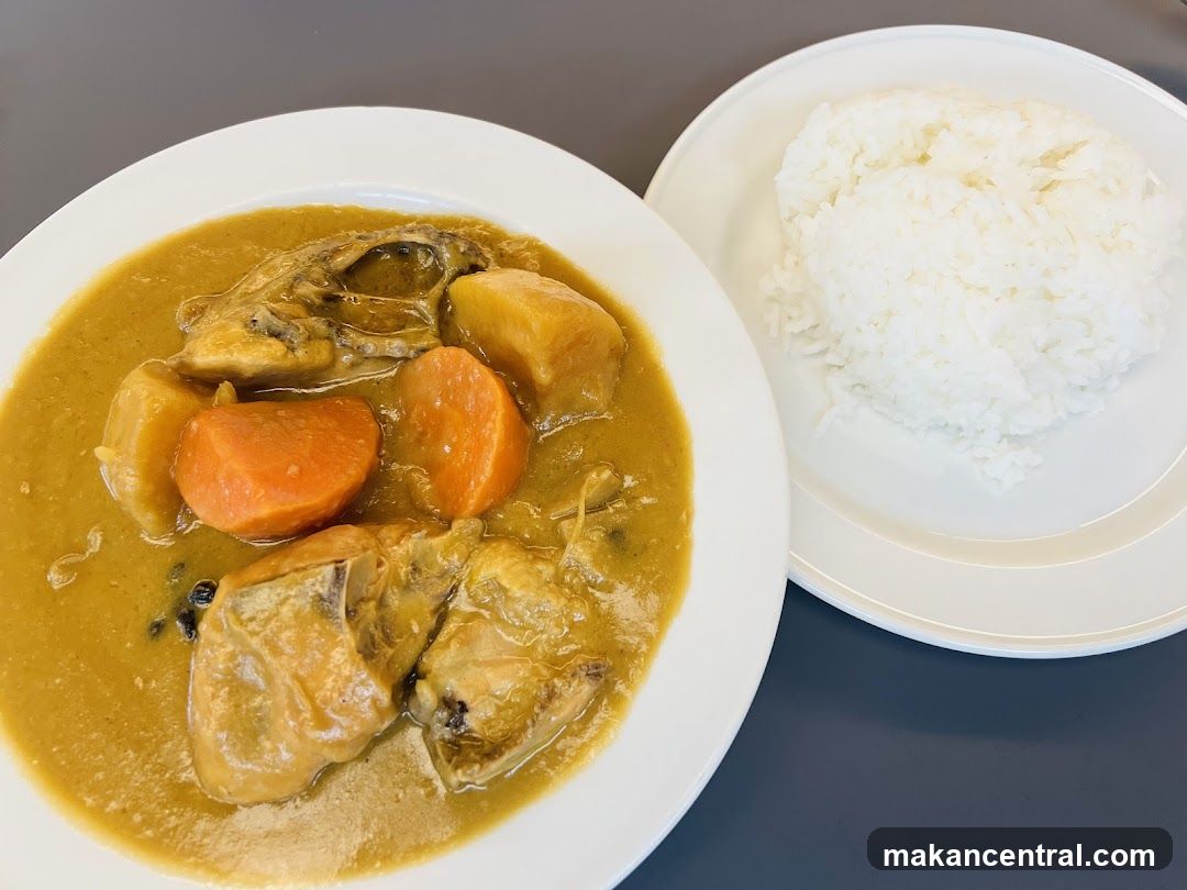 Curry and Rice Meal