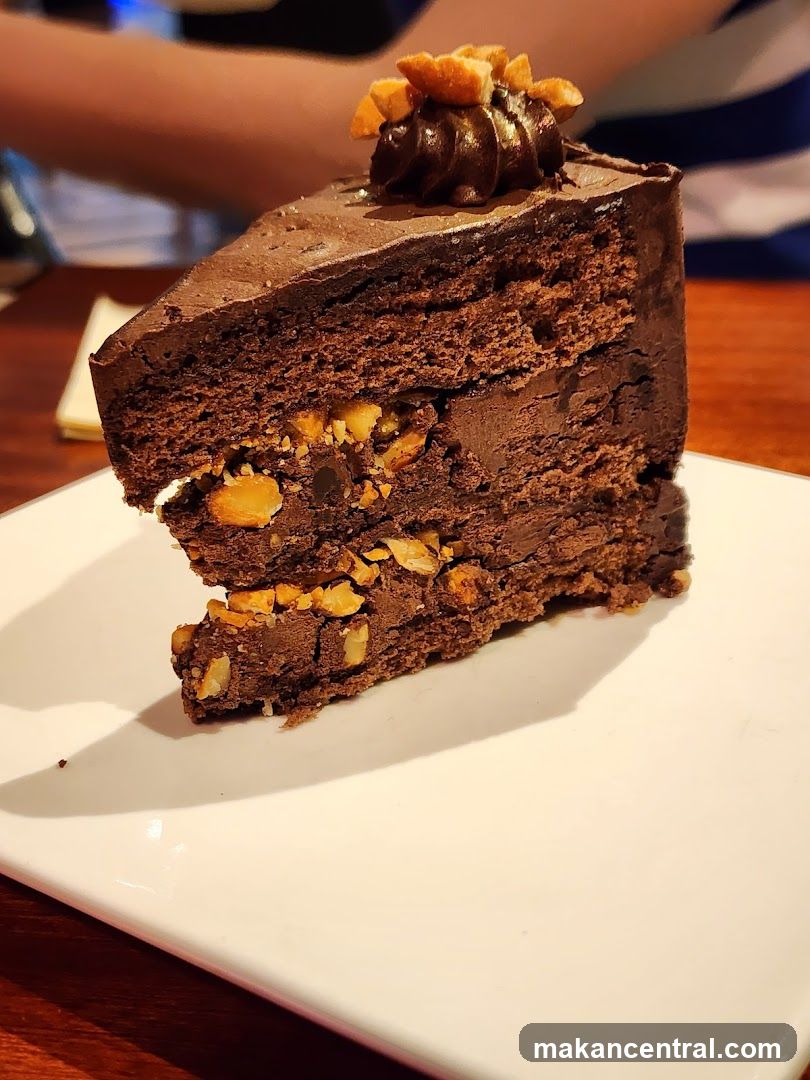 Chocolate Cake Slice