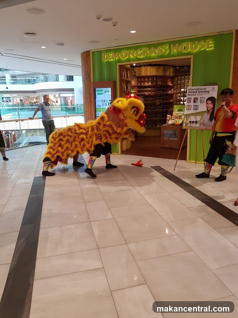 Lion Dance Performance in Mall