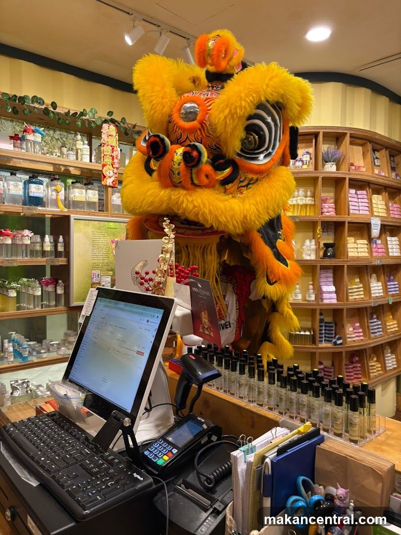 Lion Dance Costume in Shop Interior