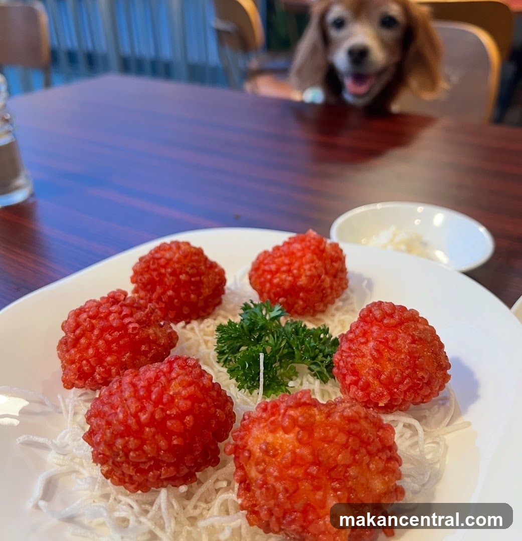 Dining Table with Food and Dog