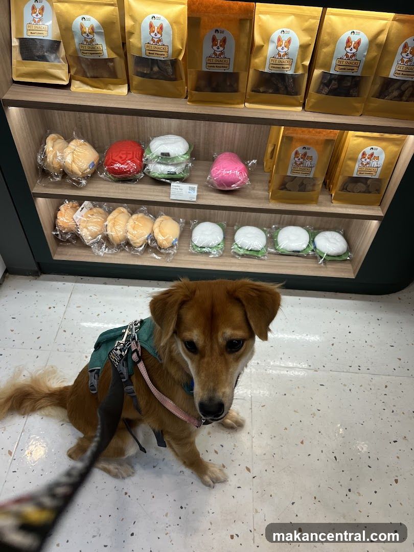 Pet Snacks Store Interior