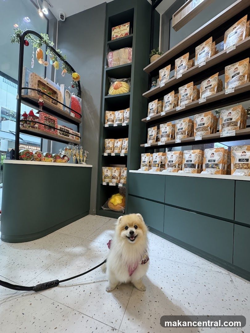 Interior of pet store