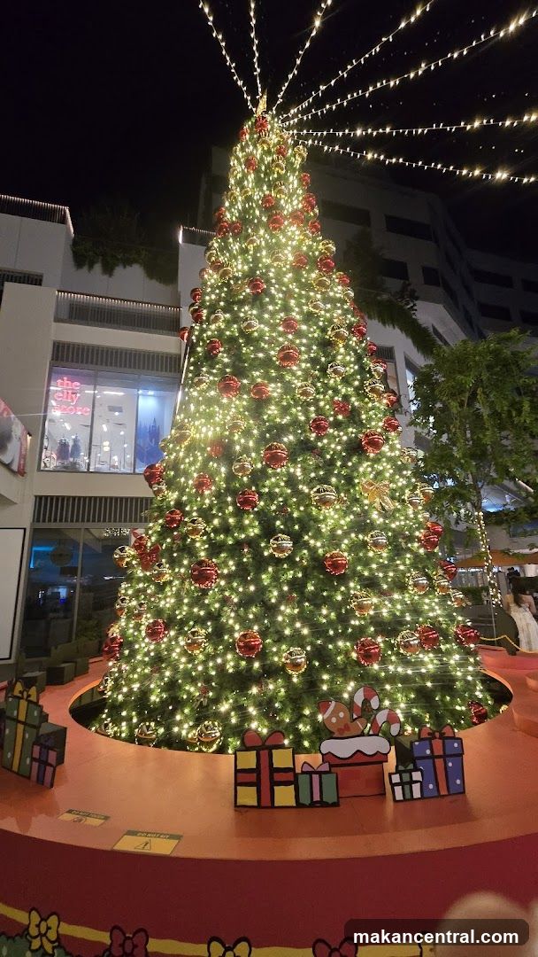 Christmas Tree Display at Night