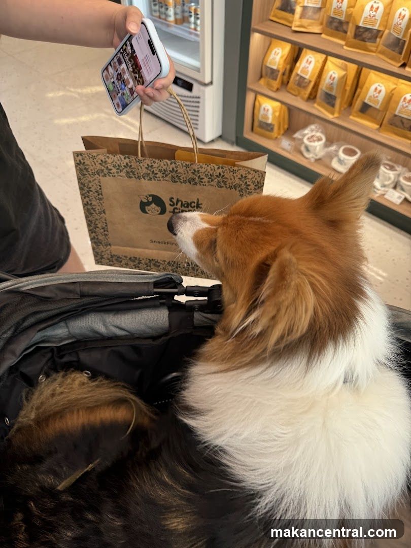 Dog in store with shopping bag