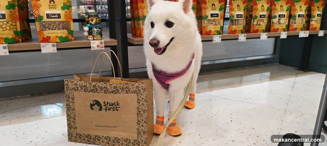 Dog in pet store aisle