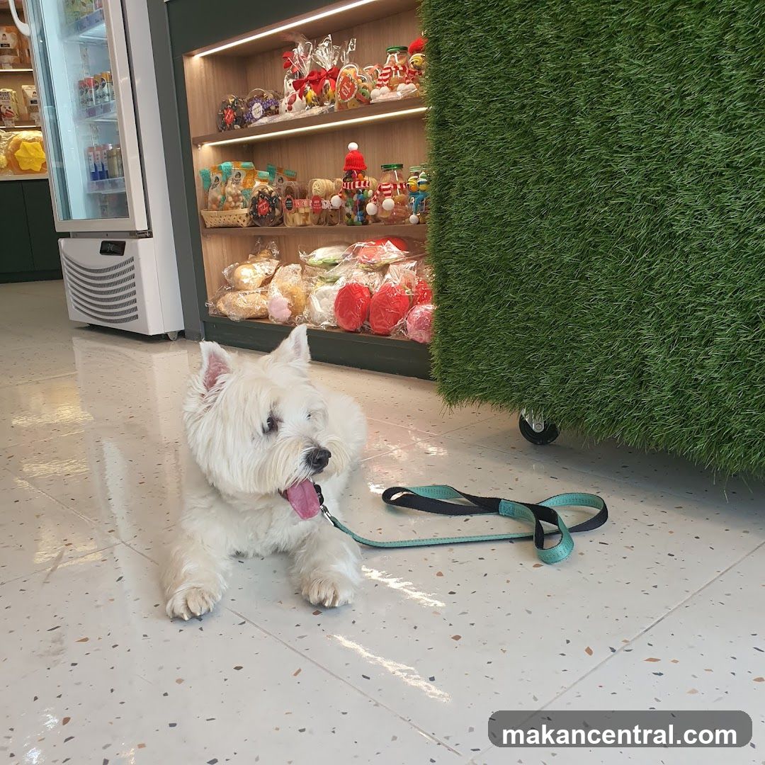 Interior of a retail store
