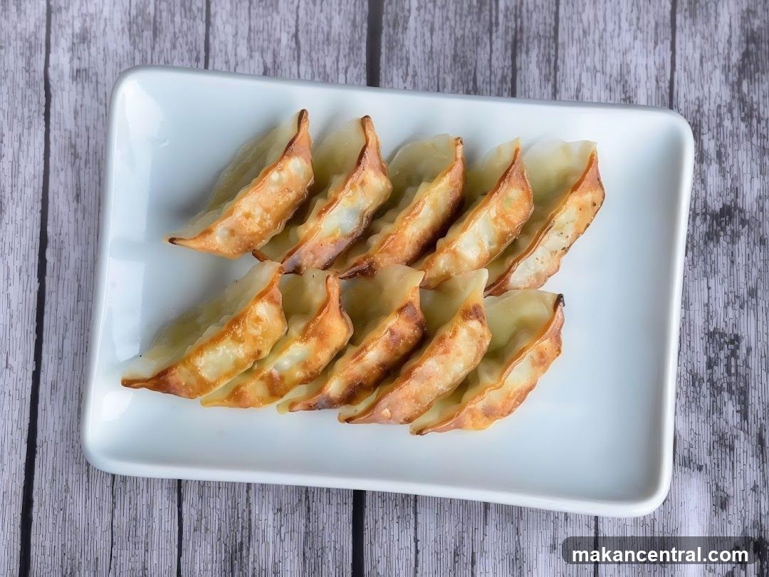Gyoza on Plate