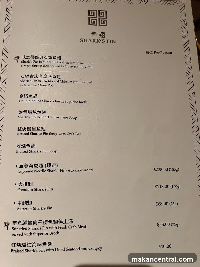 SHARK'S FIN