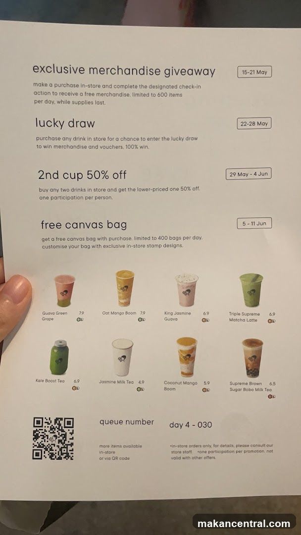 Promotional Flyer