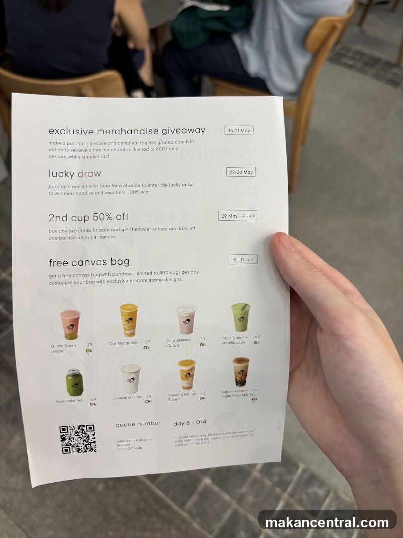 Promotional Flyer
