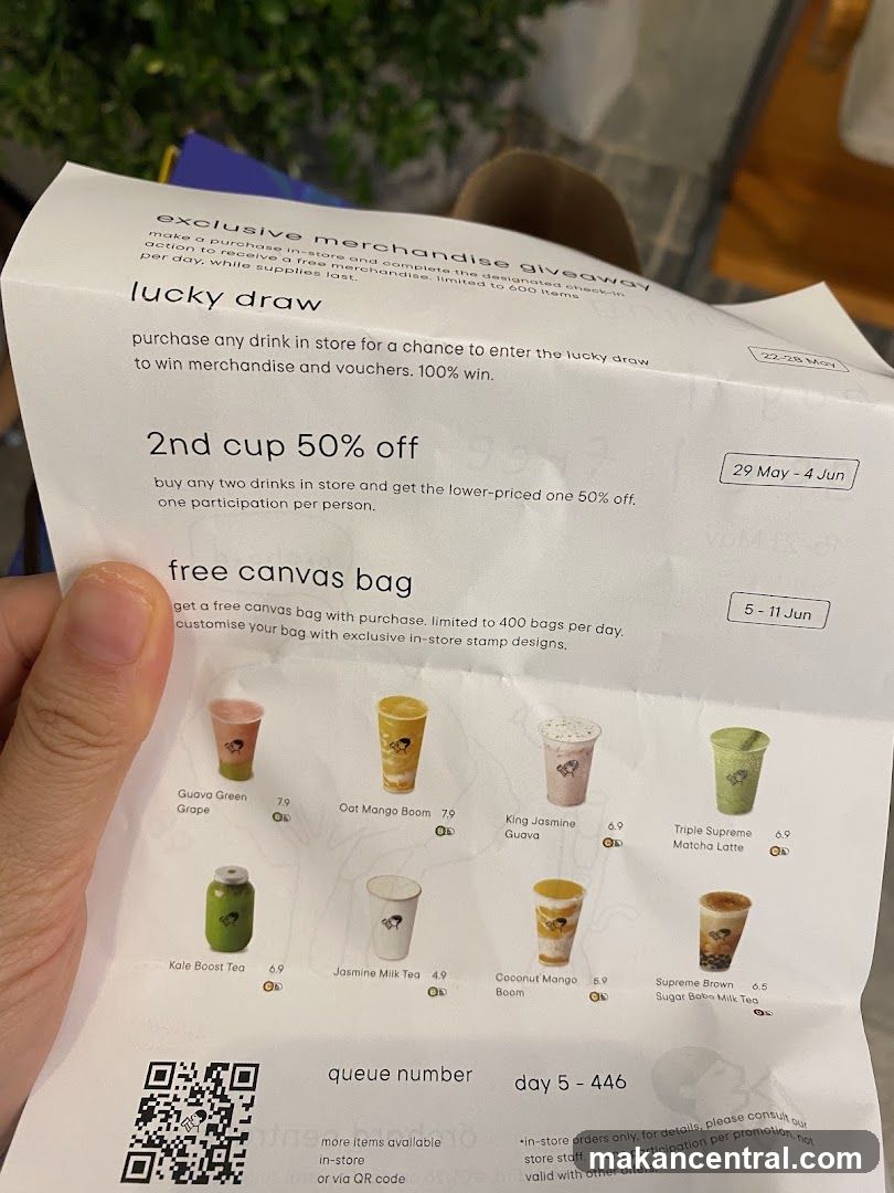 Promotional Flyer