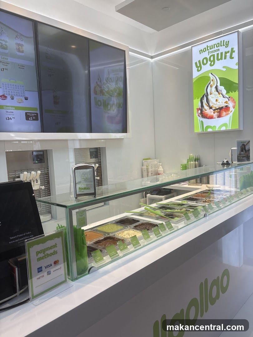 Frozen Yogurt Shop Counter