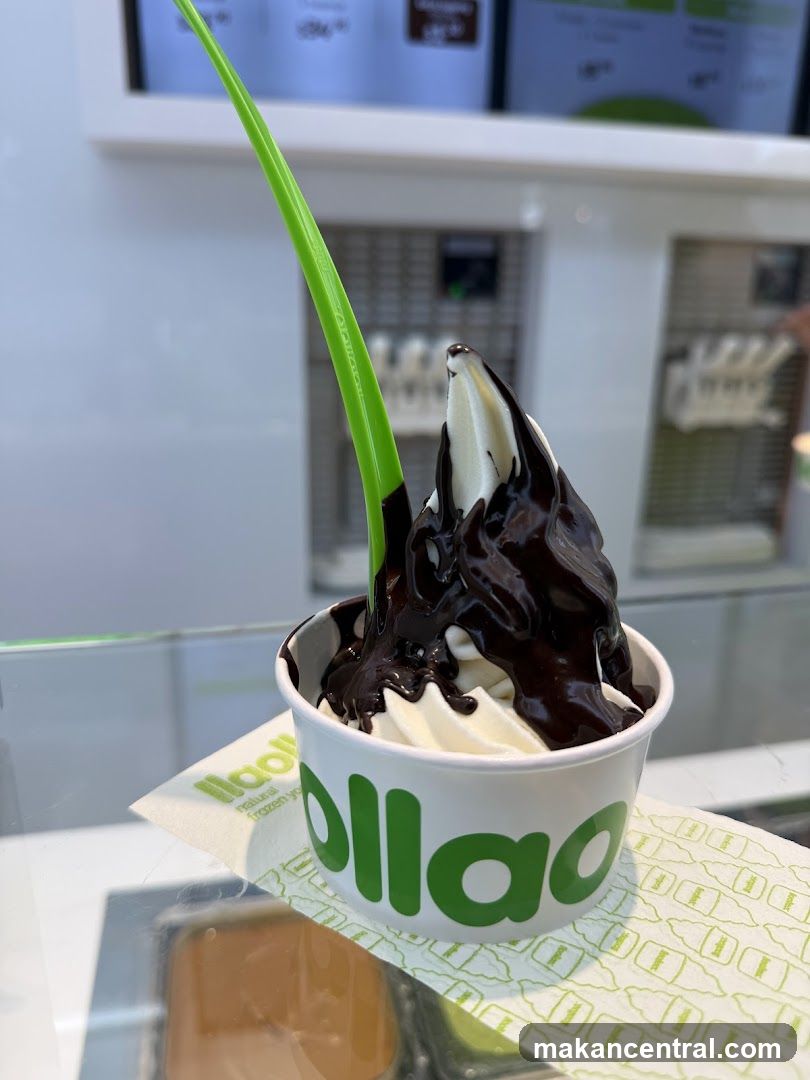 Frozen Yogurt with Chocolate Sauce