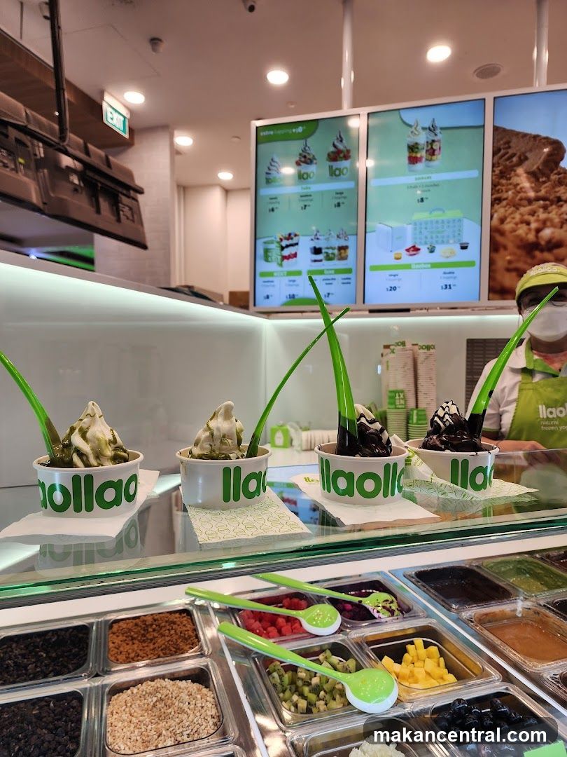 Frozen Yogurt Display