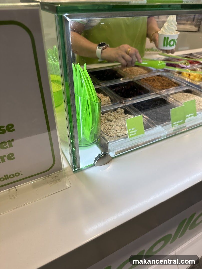 Frozen Yogurt Toppings Bar