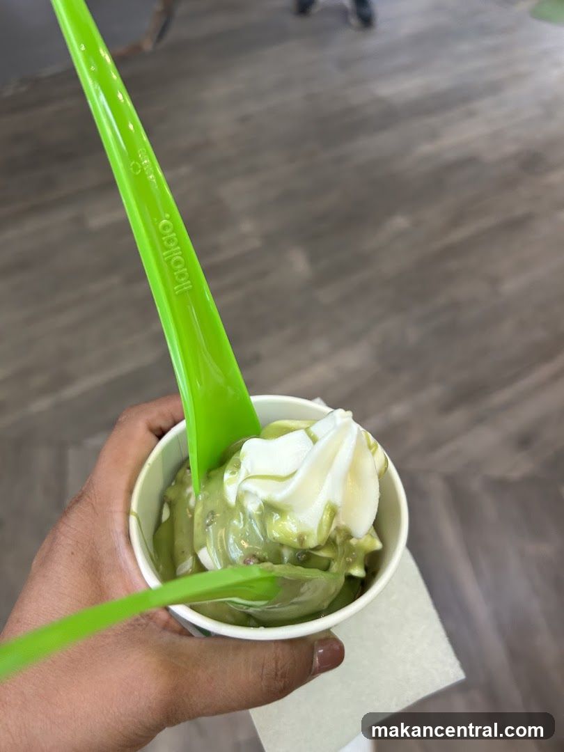 Frozen Yogurt with Toppings
