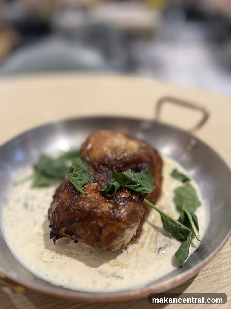 Chicken dish with sauce