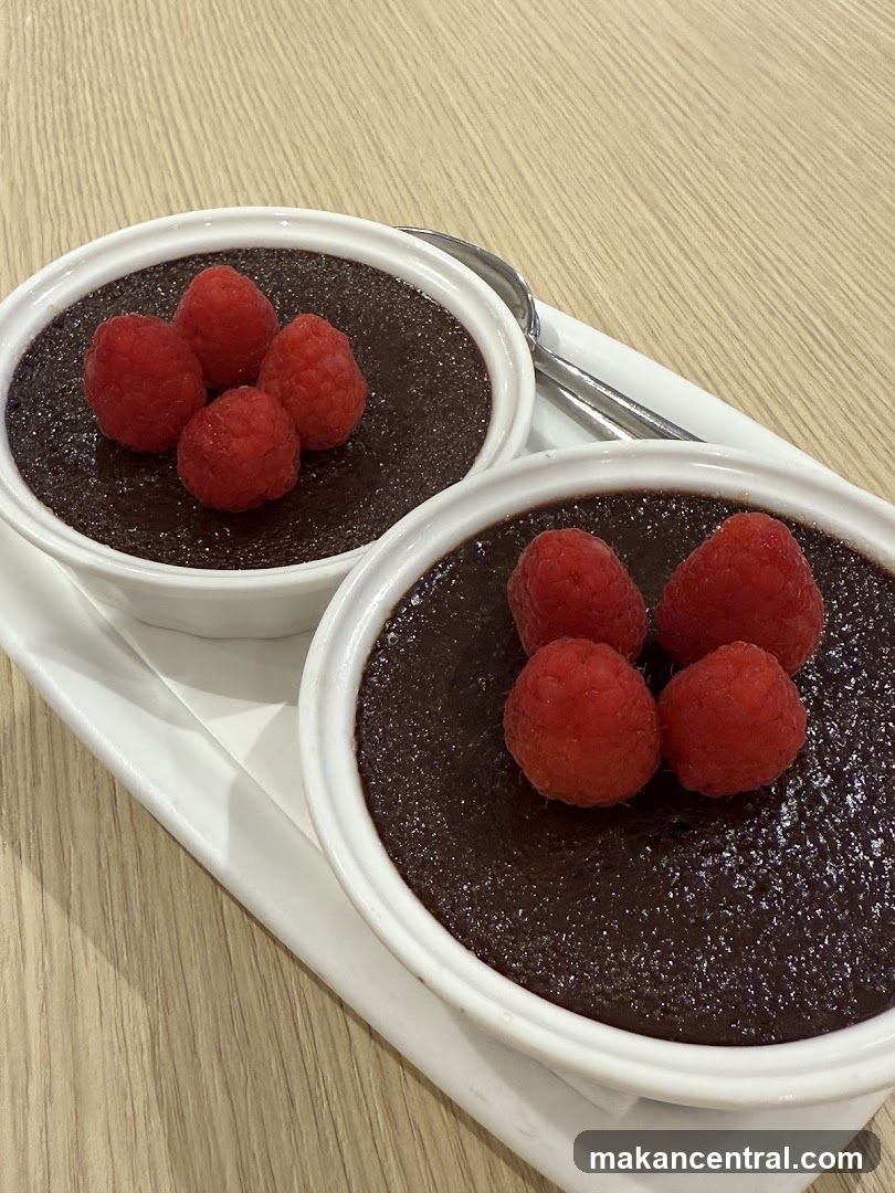Chocolate Desserts with Raspberries
