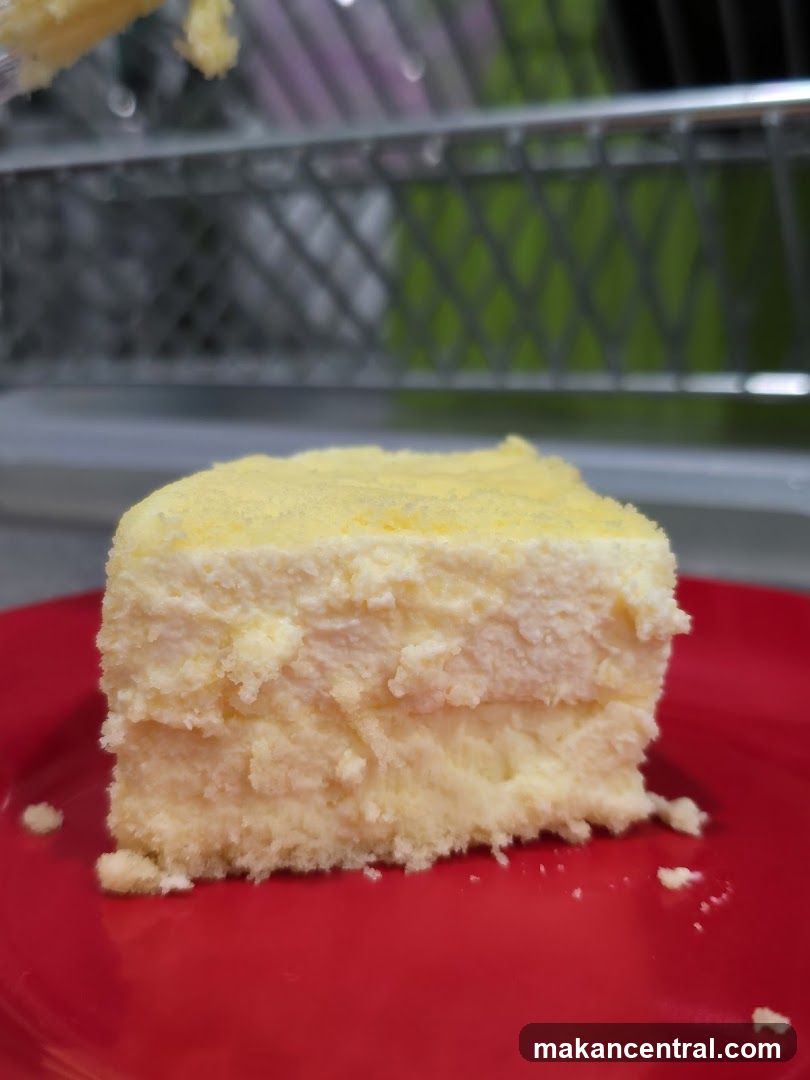 Slice of Cheesecake