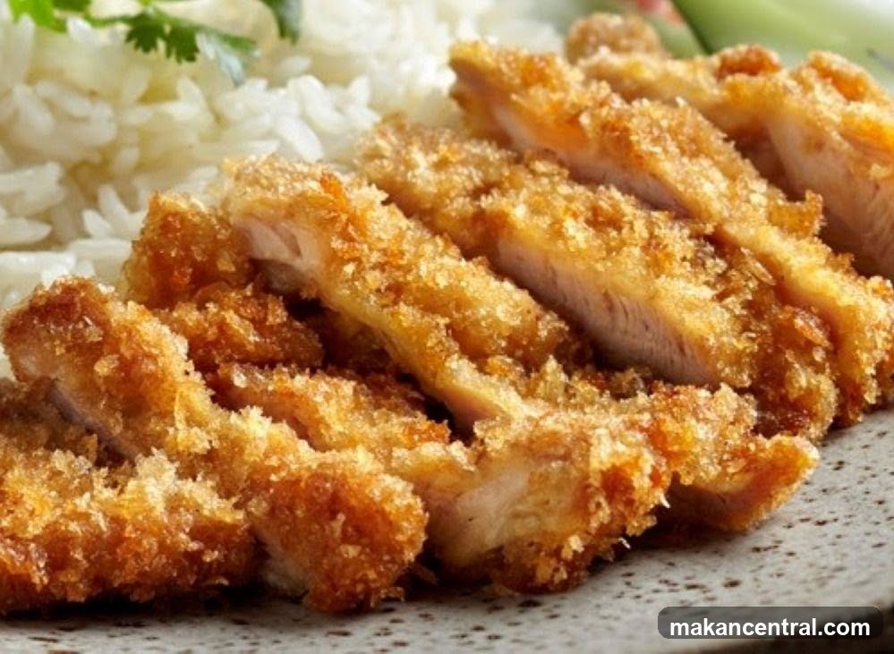 Crispy Chicken with Rice