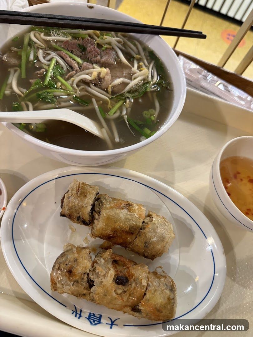 Pho and Spring Rolls