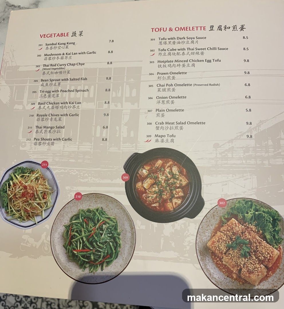VEGETABLE and TOFU & OMELETTE