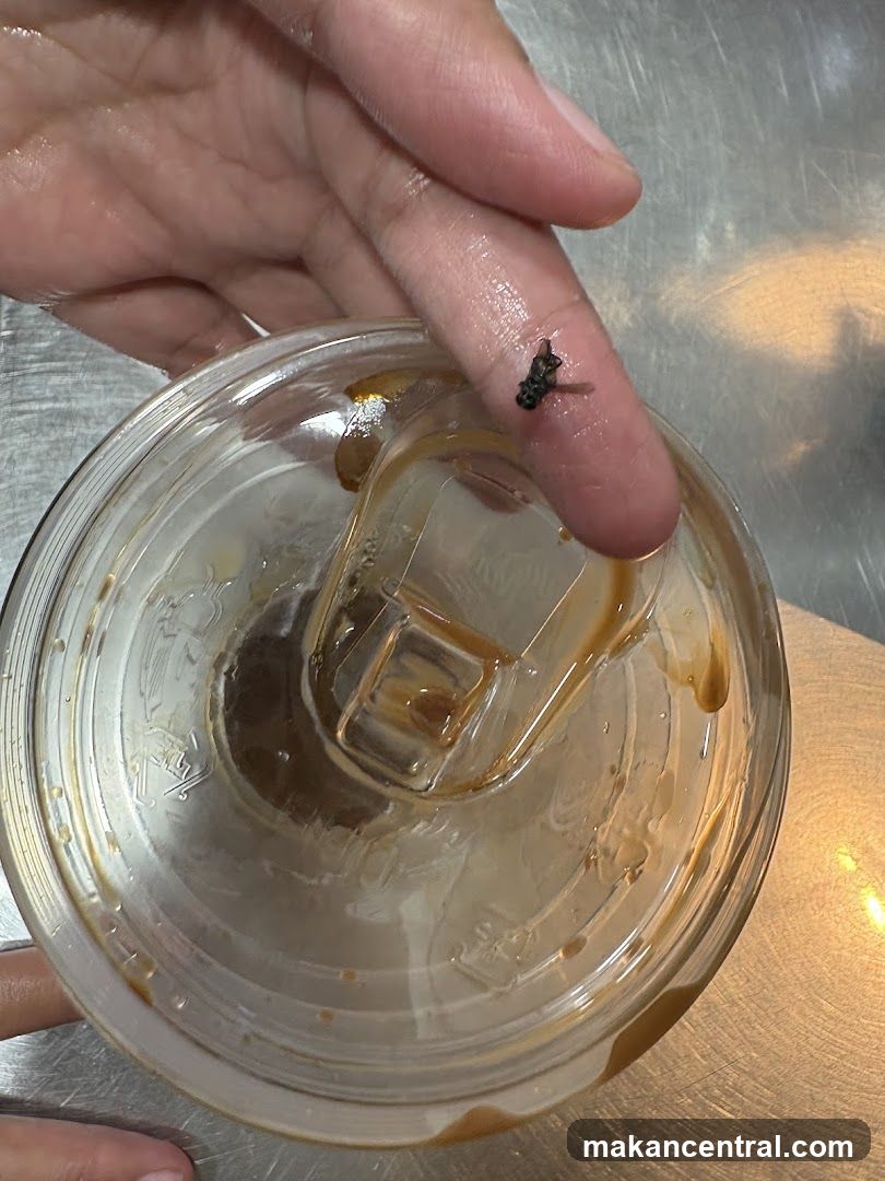 Fly on a cup lid