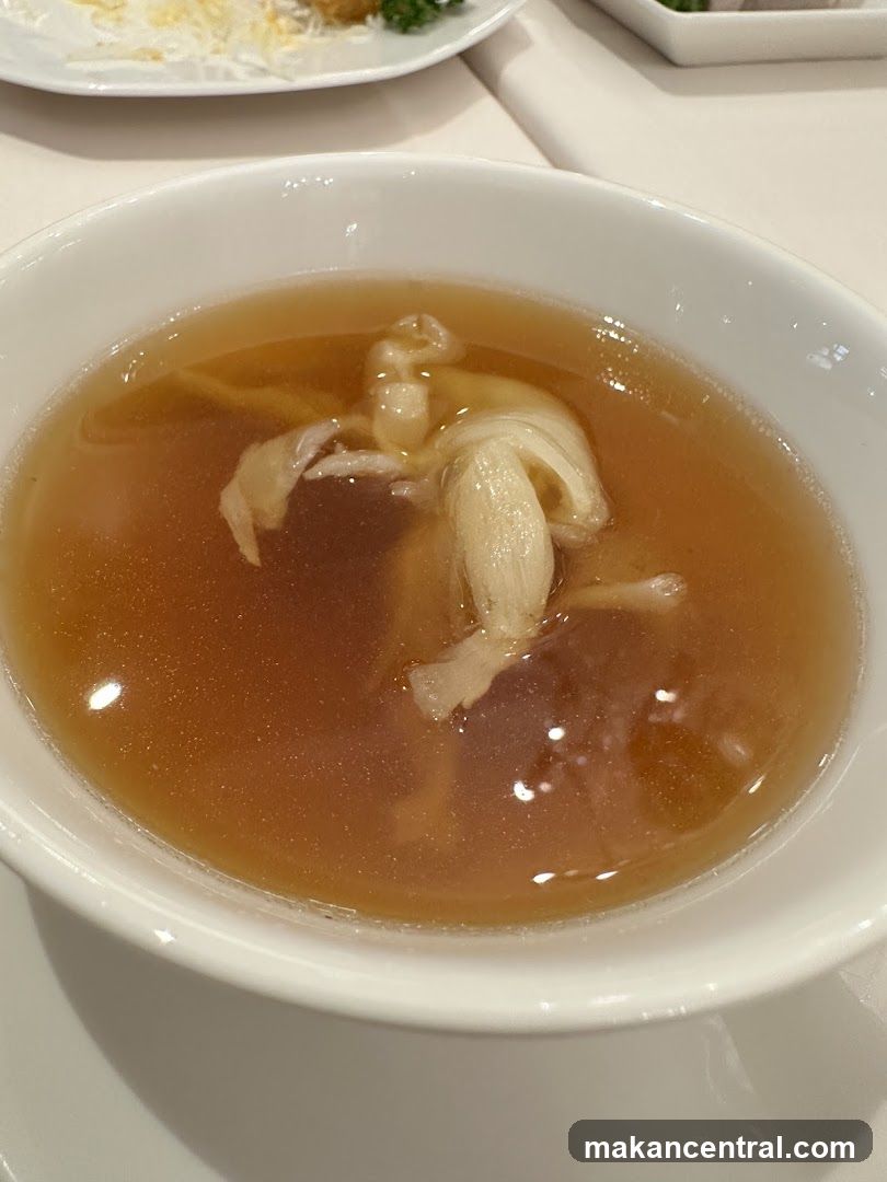 Shark Fin Soup
