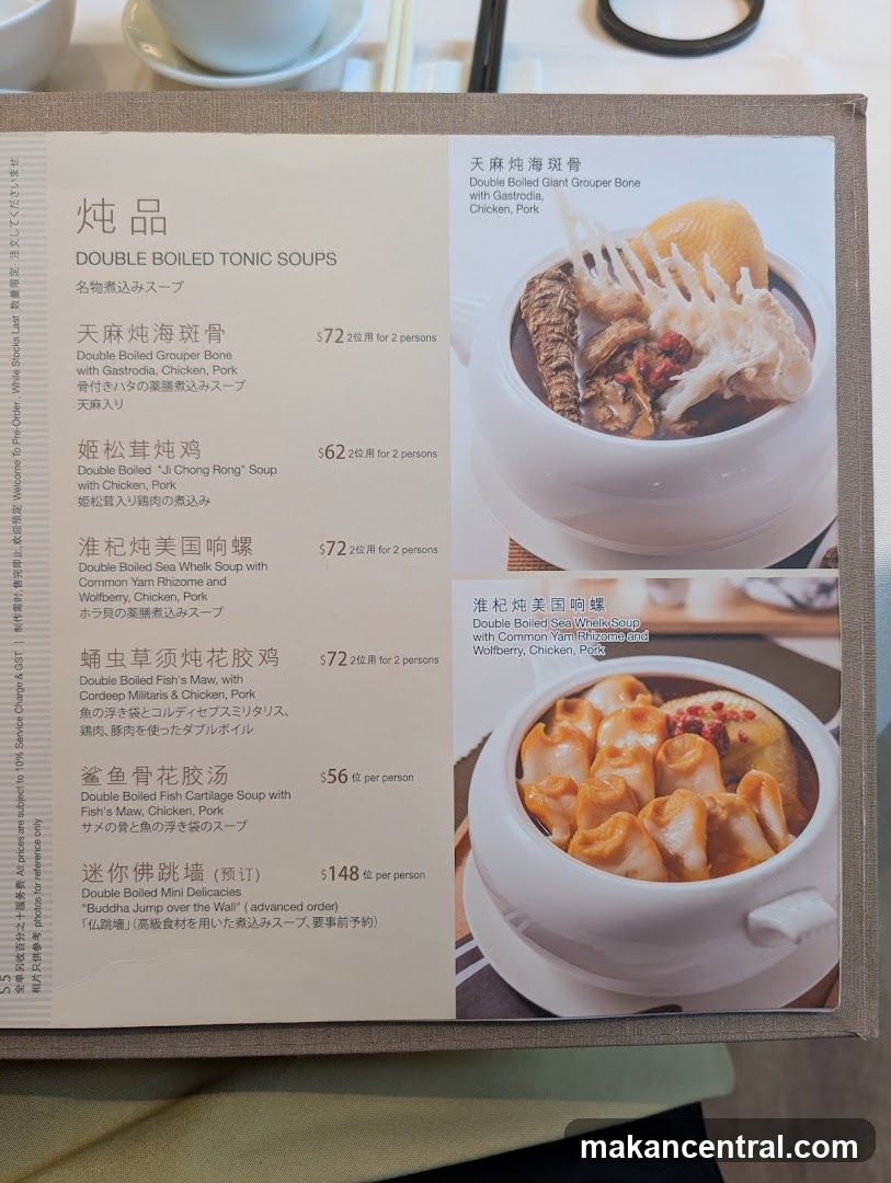 DOUBLE BOILED TONIC SOUPS